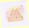 mybook008007.jpg